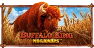 ภาพเกม Buffalo King Megaways ที่ 98m bet รวบรวมไว้